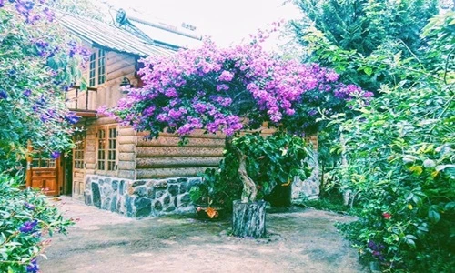 Lạc vào Ma Rừng Lữ Quán - trái tim giữa núi rừng Đà Lạt