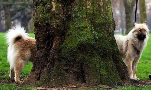 Những bức ảnh khó tin nhưng hoàn toàn có thật