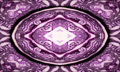 Kinh ngạc đối xứng diệu kỳ trong thế giới thực vật