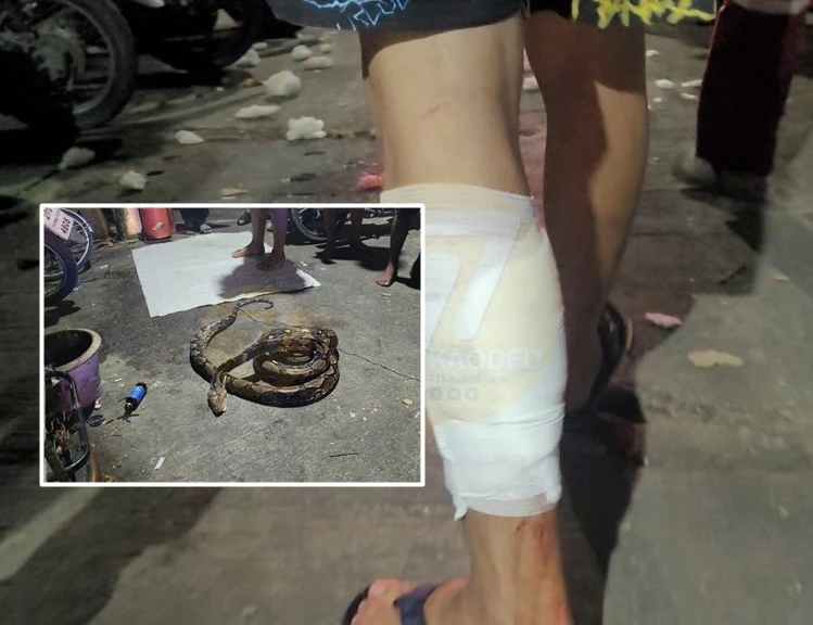 Đi tiểu bậy, người đàn ông bị trăn khổng lồ “dạy dỗ” gây choáng