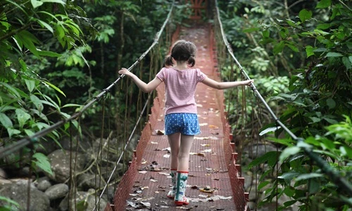 Chuyện lạ hôm nay: Cô bé tự kỷ khỏi bệnh... nhờ những chuyến đi này