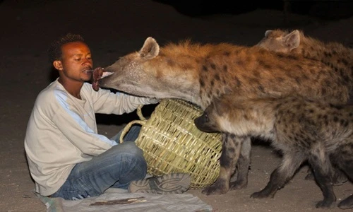 Phát hãi những dị nhân nuôi quái vật như thú cưng