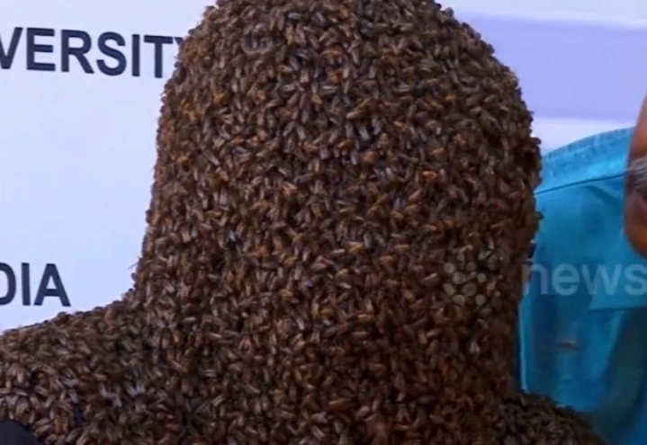 Video nóng nhất hôm nay: Chàng trai để 60.000 con ong bu kín mặt