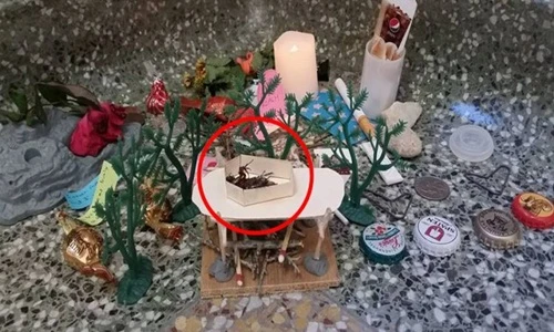 Độc đáo đám tang hoành tráng của một con gián