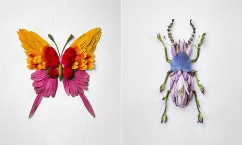 Giật mình “xuất thân” của những côn trùng đẹp tuyệt mỹ