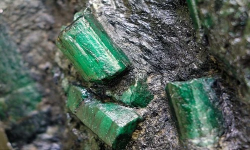 Ly kỳ khối đá toàn ngọc lục bảo khiến chủ nhân lo nơm nớp