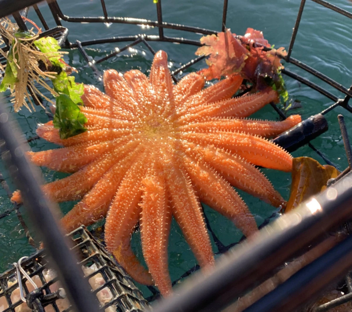 Loạt ảnh cho thấy “sự sáng tạo” vô tận của Mẹ Thiên nhiên