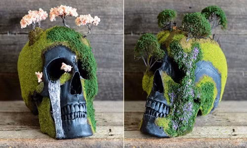 Tác phẩm nghệ thuật làm từ sọ người đẹp rùng rợn