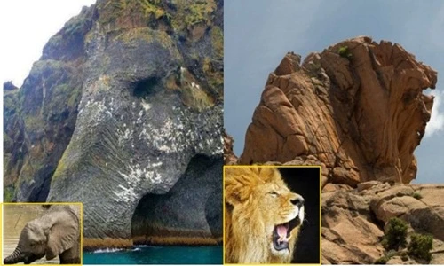 Tròn mắt với những tảng đá khổng lồ giống hệt động vật 