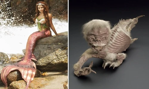 Sự thật về nàng tiên cá khiến bạn khóc thét