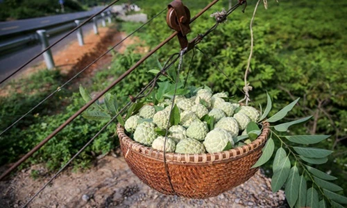 Na xứ Lạng “bay vèo” từ trên núi cao xuống như trong phim