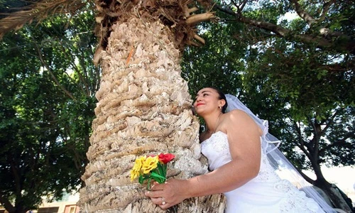 Chuyện lạ hôm nay: Người người kết hôn với cây vì điều này
