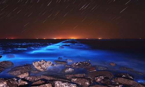 Điểm những sự thật gây sốc về thế giới tự nhiên (1)