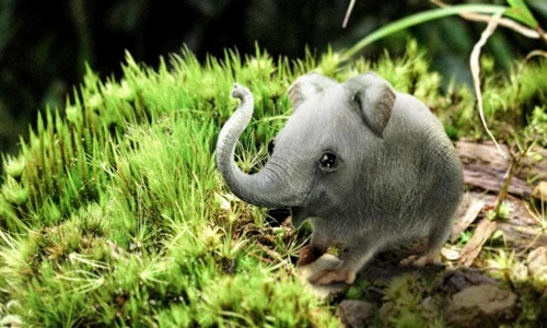 Giật mình những quái vật lai khủng khiếp nhất 