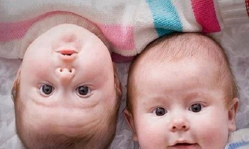 Clip khiến bạn muốn có ngay một cặp con sinh đôi