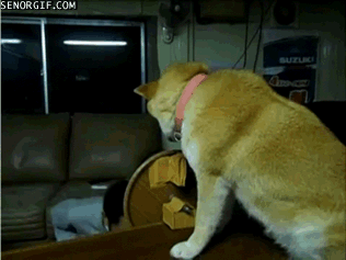 Cho anh hôn cái nào!