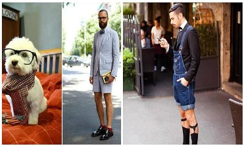 “Chộp” những khoảnh khắc hài hước trong cuộc sống