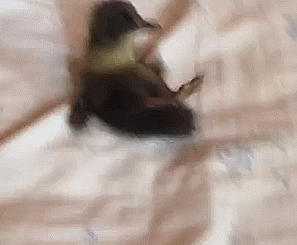 Mình tự dậy xem sao?