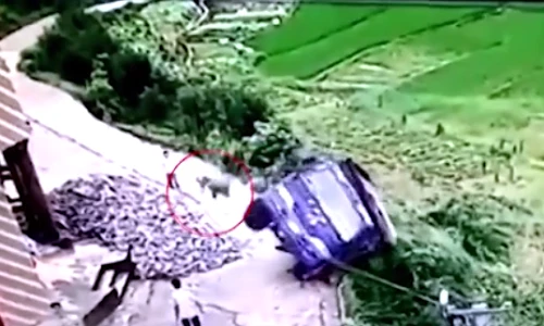 Tài xế xe tải thoát hiểm ngoạn mục khi xe lao xuống vực 