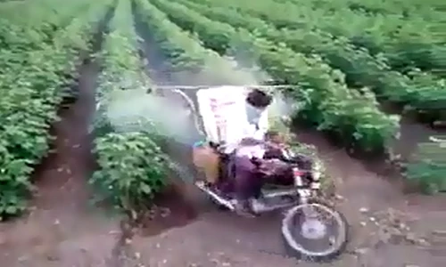 Đây là cách nông dân Ấn Độ phun thuốc cho cây