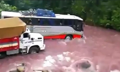 Điểm danh những tài xế "tay lái lụa" nhất hành tinh