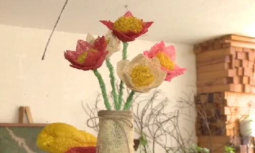 Tác dụng tuyệt vời của xơ mướp bạn không ngờ tới