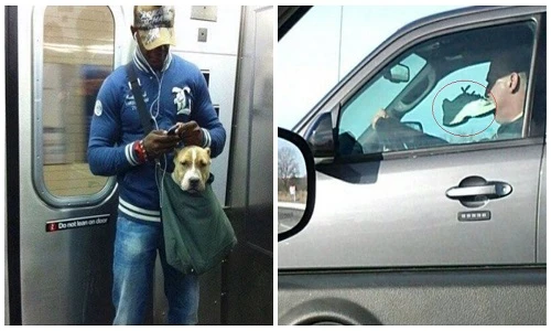 Chộp khoảnh khắc hài hước trong cuộc sống