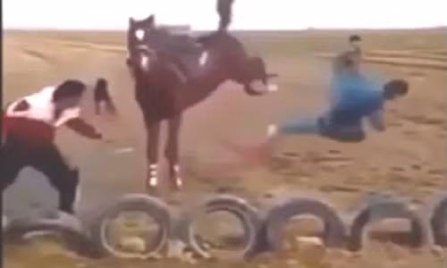 5 pha ngựa đá người "đau hơn hoạn"