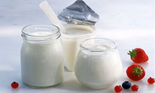 Mẹo sử dụng và bảo quản sữa chua an toàn cho sức khỏe
