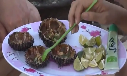 3 món ăn bổ dưỡng ngon ứa nước miếng từ nhím biển