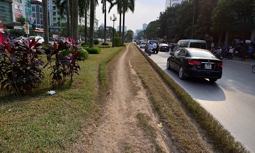 Ảnh: Cỏ bị giẫm nát, héo úa ở đường đẹp nhất Việt Nam