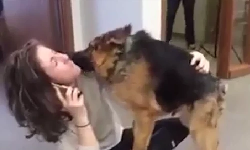 Chú chó gù với diện mạo kỳ cục gây xôn xao