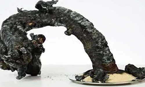 2 thí nghiệm hóa học tuyệt đẹp bạn có thể tự làm