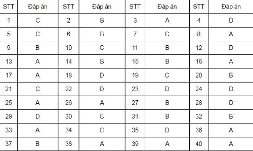 Đề thi và bài giải môn tiếng Anh thi THPT quốc gia 2016