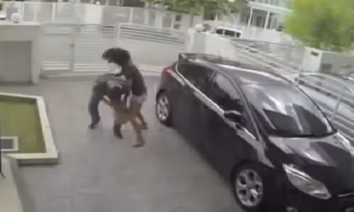 Trộm đồ, bị thiếu nữ xinh đẹp đánh tơi tả