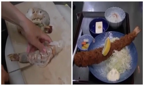 Xem người Nhật biến tôm khủng thành món ăn hảo hạng