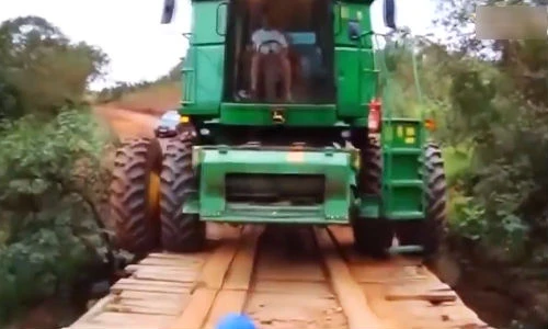 Những tài xế liều lĩnh nhất quả đất