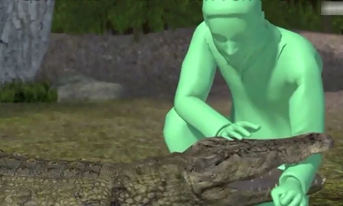 Làm gì để sống sót khi bị cá sấu tấn công?