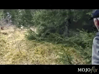 Chạy thôi, mình bị đánh lừa rồi...