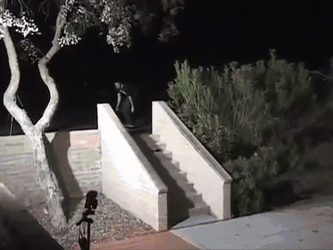 Màn biểu diễn thành công.