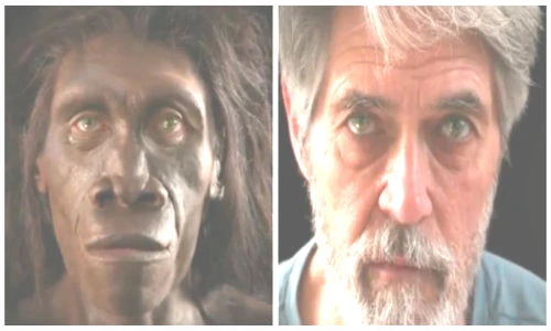 Quá trình tiến hóa 6 triệu năm của loài người trong 1 phút