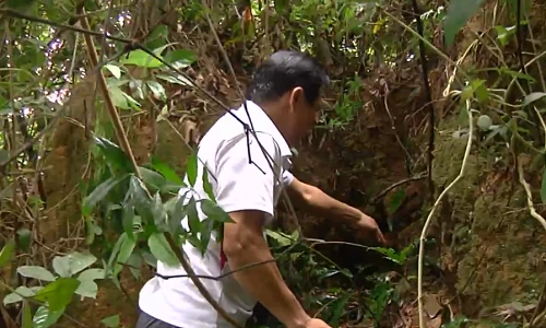 Bí ẩn hầm mộ chất đầy vàng người Tàu để lại ở Hà Nam