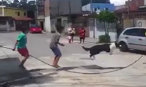 Chú chó nhảy dây cực điệu nghệ gây ngỡ ngàng