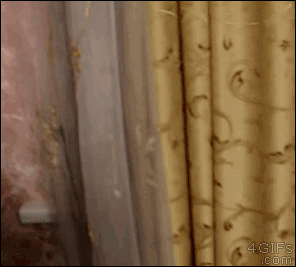 Sao không có ai vậy?