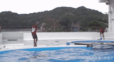 Bắt lấy bóng này.