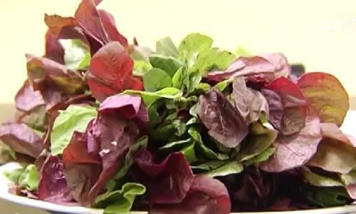 Công dụng và món ăn chữa bệnh tuyệt vời từ rau dền