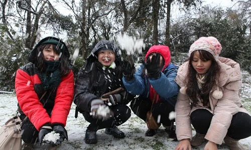 Clip: Mưa tuyết dày đặc trên đỉnh Ô Quy Hồ