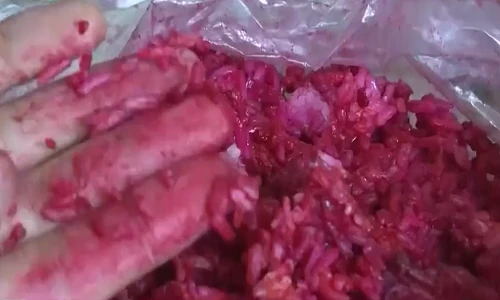 Cơm có màu đỏ lạ, để một tuần không thiu rữa gây hoang mang