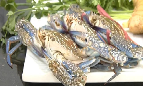 Cách chọn, chế biến để loại bỏ ký sinh trùng trong ghẹ