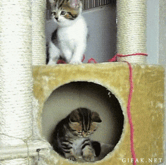 Cái tội không để ý đây mà.